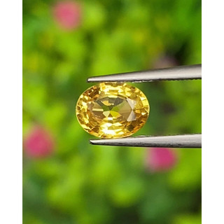 พลอย บุษราคัม Yellow Sapphire 1.02 กะรัต (Cts.)