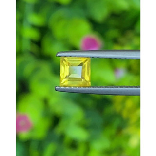 พลอย บุษราคัม yellow sapphire 1.00 กะรัต (Cts.)