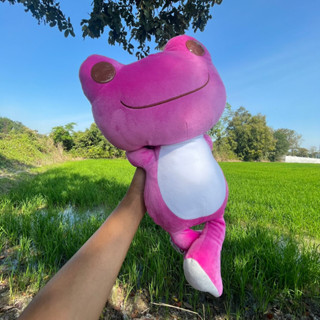 [ชิ้นนีส่งปณ.ไทยเท่านั้น] ตุ๊กตา Pickles the Frog กบ Pickles the Frog สัตว์ของเล่น ตุ๊กตากบ Fitzroy Tree Frog Plush