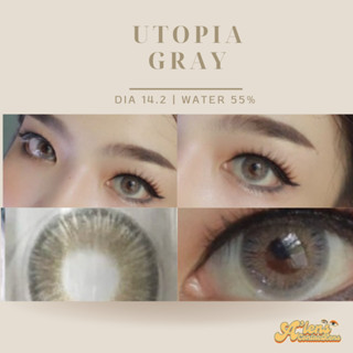 คอนแทคเลนส์รายเดือน | Utopia gray ค่าอมน้ำ55%