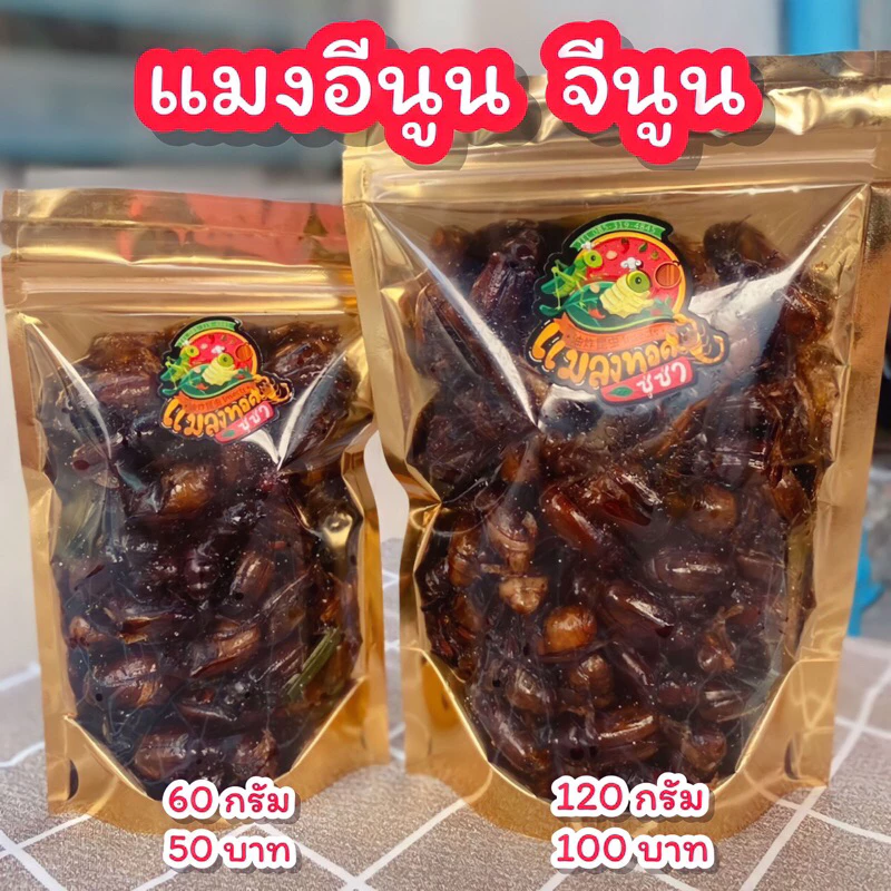 แมงอีนูนทอด จีนูน แมลงทอดซู่ซ่า ทอดตามออเดอร์ สด ใหม่ ทุกวัน