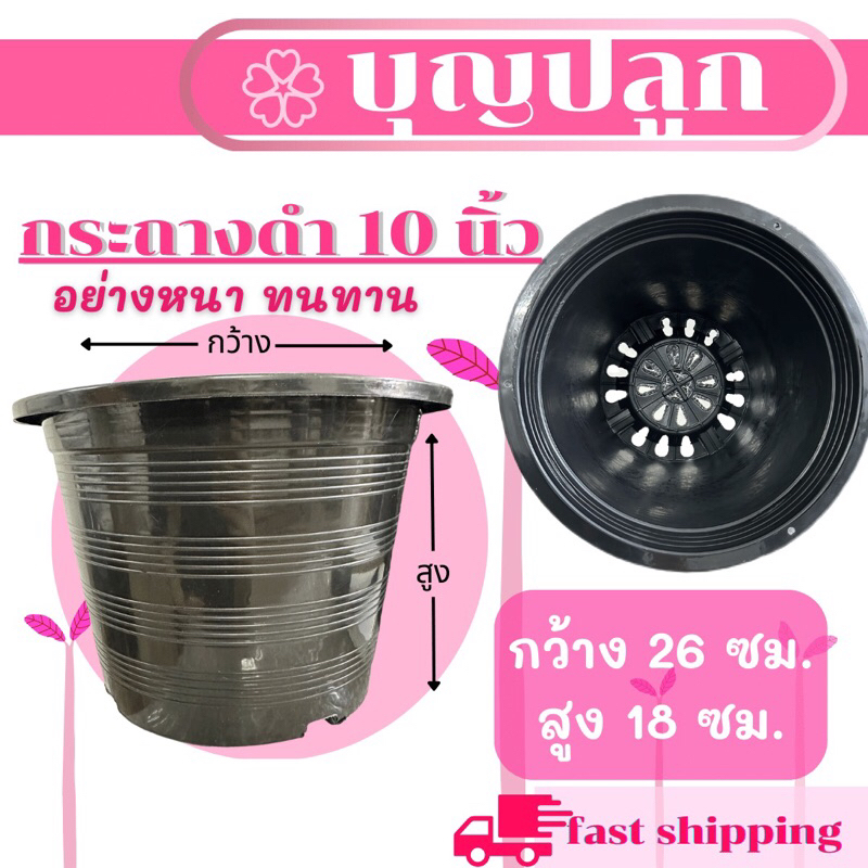กระถางสีดำ 10 นิ้ว กระถางพลาสติก