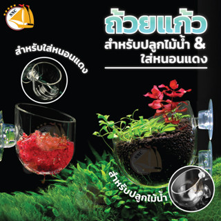 ถ้วยแก้ว สำหรับ ใส่หนอนแดง / ปลูกไม้น้ำ  สำหรับใส่ในตู้ปลา มีจุกยางติดตู้กระจก