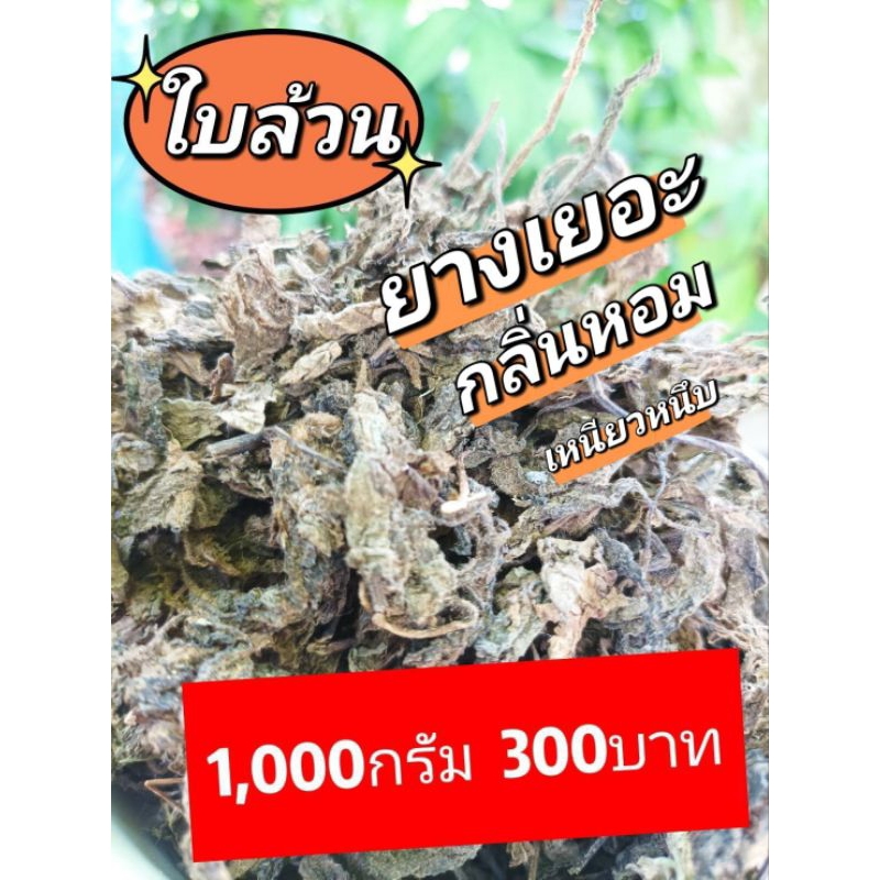 เฉาก๊วยใบล้วน97% นำเข้าเกรดทำเนื้อ 1 กิโลกรัม