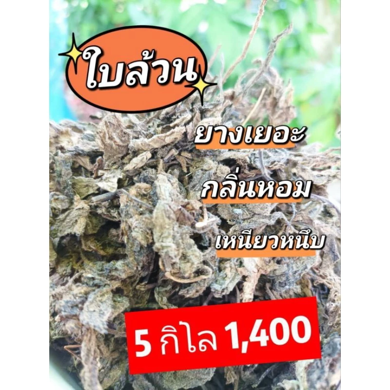 เฉาก๊วยใบล้วน97%นำเข้าเกรดทำเนื้อ 5 กิโลกรัม