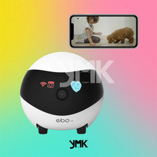 [พร้อมส่ง] หุ่นยนต์สุดไฮเทค EBO Intelligent Companion Robot by Yumiko The Cats