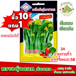 (ซื้อ10แถม1) เมล็ดพันธุ์ กวางตุ้งดอก ฮ่องกง Flowering Pak Choy ประมาณ 3,600เมล็ด 3A สามเอ ผักสวนครัว เมล็ดพันธุ์พืช