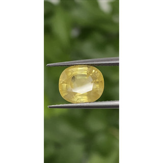 พลอย บุษราคัม Yellow Sapphire 3.56 กะรัต (Cts.)