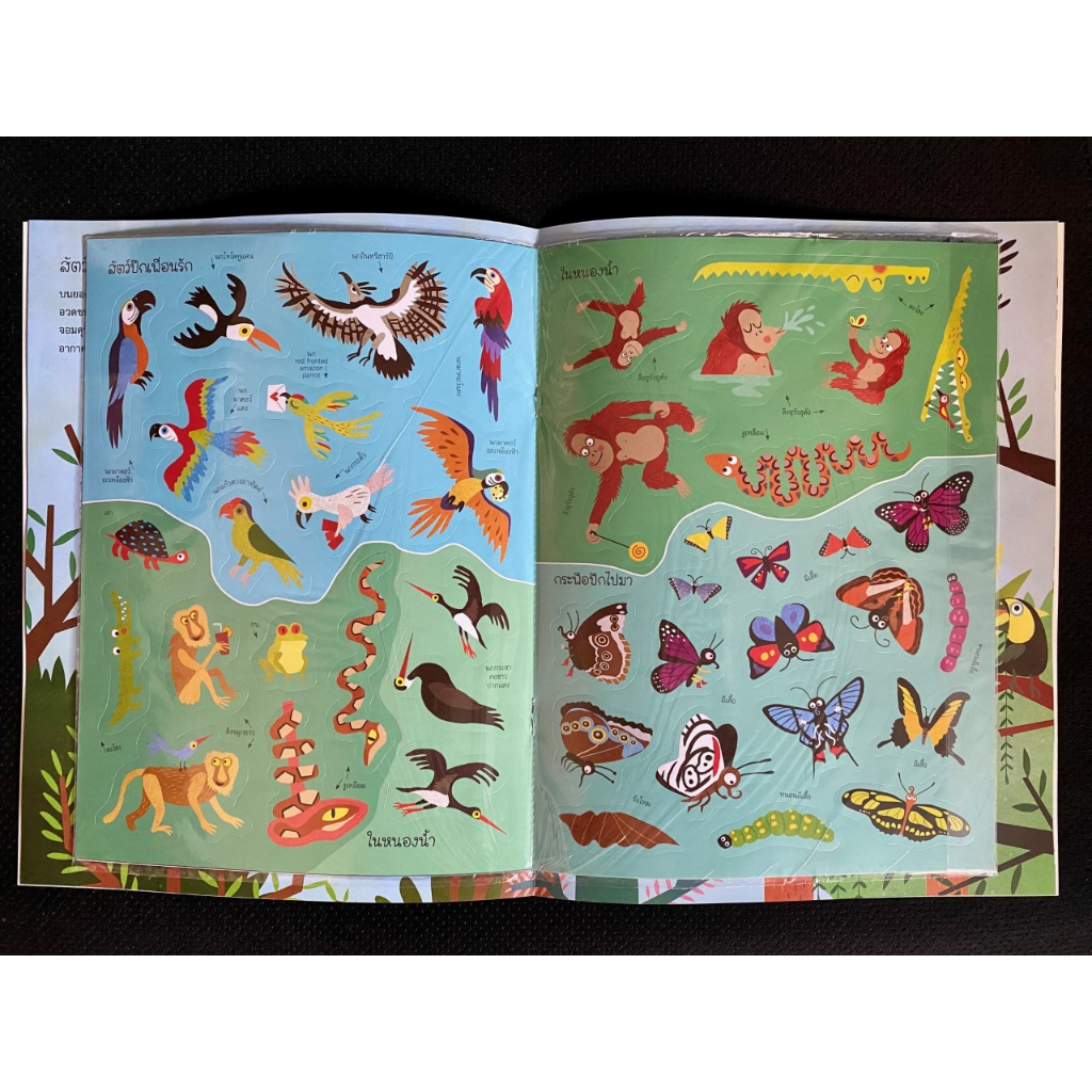 Aksara for kids หนังสือเด็ก สติกเกอร์ซาฟารี ในป่าใหญ่