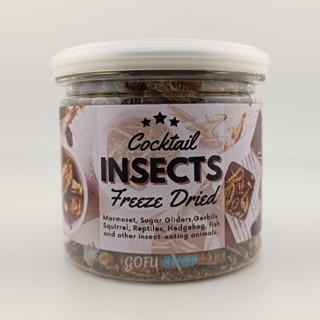 Cocktail insects freeze dried รวมคุณค่า 3 แมลงไว้ในกระปุกเดียวกัน สะดิ้ง หนอนไหม ตั๊กแตน