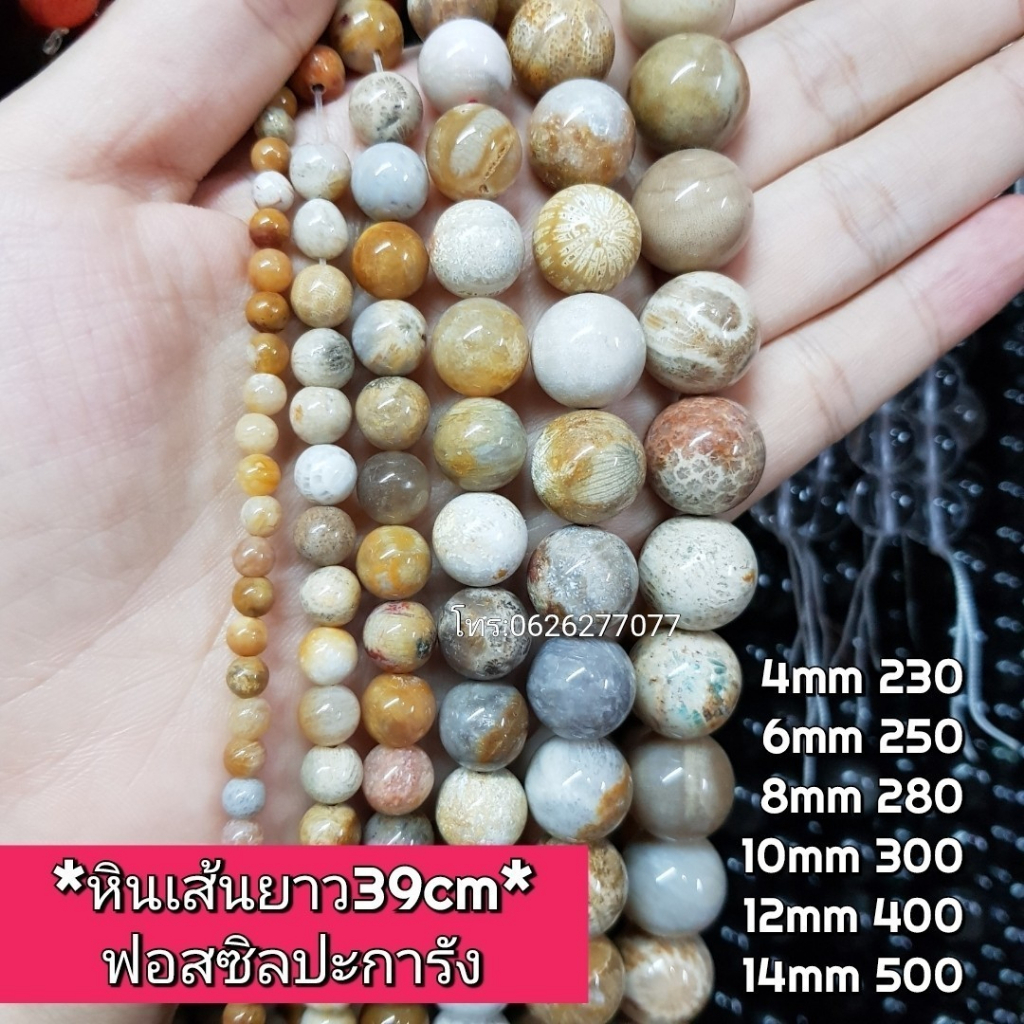 บลูฟอสซิลปะการังเจียเหลี่ยม หินแท้ธรรมชาติ หินเส้นยาว ความยาวประมาณ38cm หินนำโชคราคาส่ง