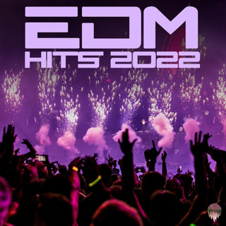 MP3 EDM Hits 2022 (แผ่น CD , USB แฟลชไดร์ฟ)