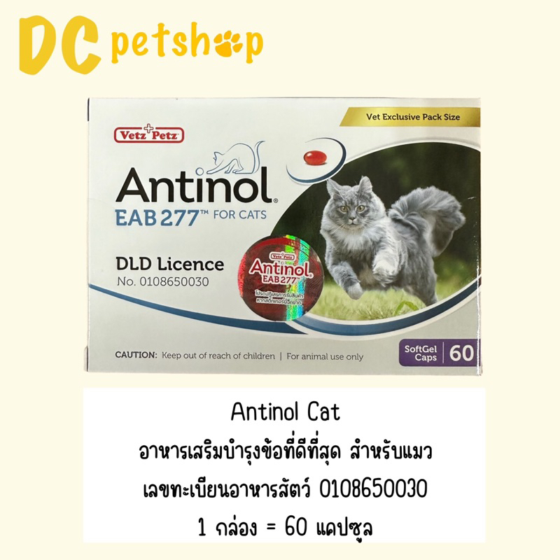 Antinol Cat 60 Caps อาหารเสริมบำรุงข้อสำหรับแมว (หมดอายุ 08/2025)