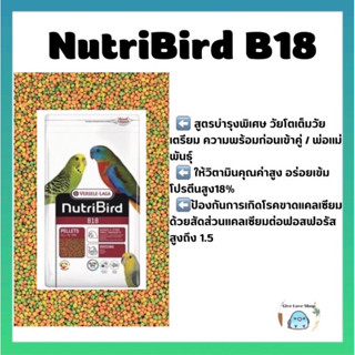 NutriBird B18 อาหารสำเร็จรูปสำหรับนกแก้วขนาดเล็ก แบ่ง250gและ500g