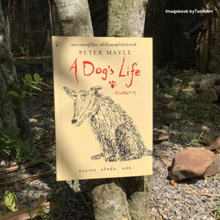 หนังสือมือ 2 #ชีวิตหมาๆ A Dog’s Life   ผู้เขียน #ปีเตอร์เมล ผู้แปล : ปรมารถ ตริศนัน