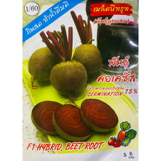 เมล็ด บีทรูท พันธุ์คอเคซัส ( BEET ROOT )