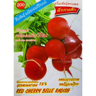 เมล็ด แรดิชเชอร์รี่เบลล์ ( RED CHERRY BELLE RADISH )