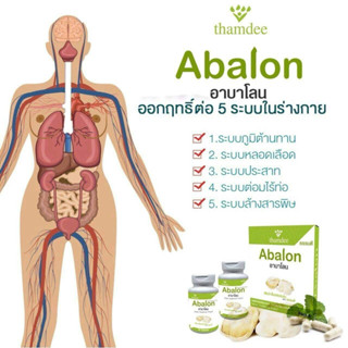 ธรรมดี อาบาโลน THAMDEE ABALON  ของแท้100% ผลิตภัณฑ์เสริมอาหารเห็ดเป๋าฮื้อสกัดเข้มข้น 100%