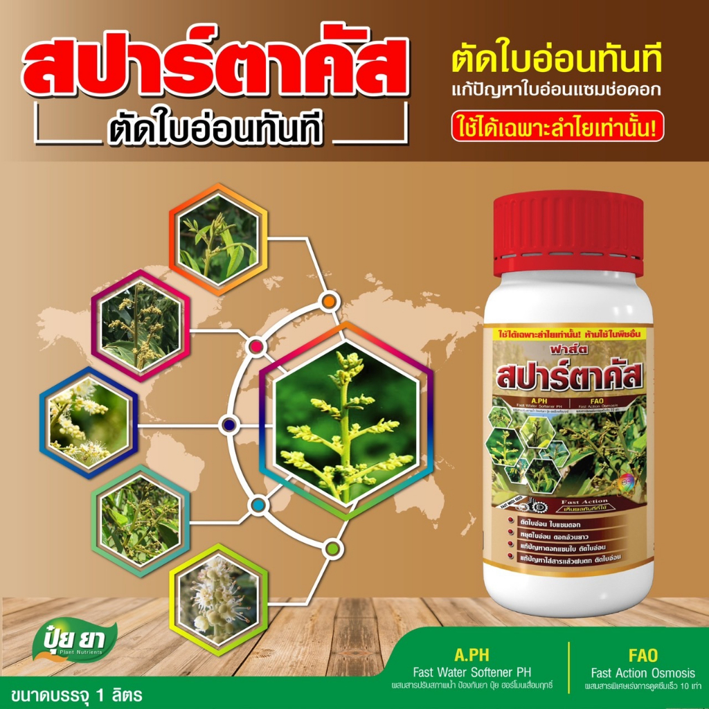หยุดใบอ่อนลำไย ปุ๋ย ยา สปาร์ตาคัส แก้ปัญหาใบอ่อนแซมช่อดอก ตัดใบอ่อน หยุดใบอ่อน ต้นไม่โทรม (1 ลิตร)
