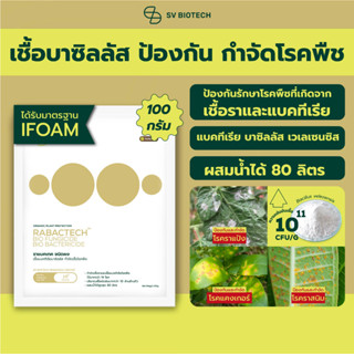 บาซิลลัส ป้องกันและกำจัดโรคพืช มาตรฐานIFOAM ราแป้ง ราสนิม ราน้ำค้าง เหี่ยวเขียว แคงเกอร์ ใบจุด ใบไหม้ ขนาด 100 ก.