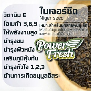 ✨พร้อมส่ง✨ ไนเจอร์ซีด Niger Seed🤎🌾🤎