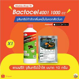 BACTOCEL แถมฟรี น้ำใส จุลินทรีย์ใช้สำหรับคอกสัตว์ แบคโตเซล 4001 (1000 Ml)กลิ่นสัตว์ คอกสัตว์  น้ำยาดับกลิ่นเหม็นสัตว์