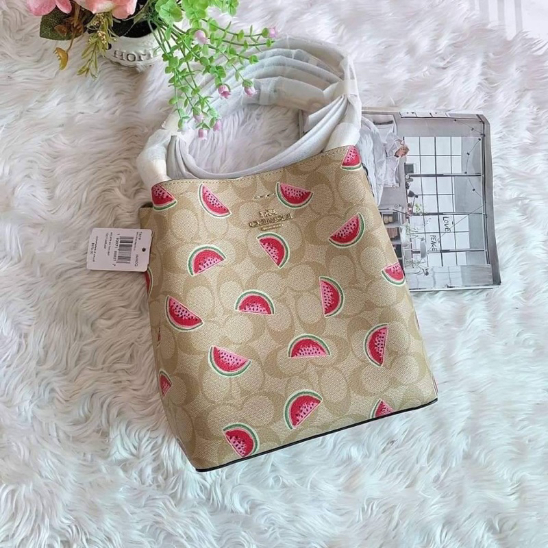 COACH Coach1619 Small Town Bucket Bag In Signature Canvas With Watermelon Print หายาก