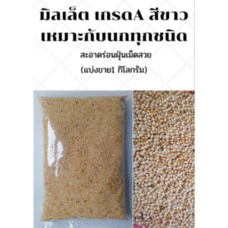 มิลเล็ตขาว White Millet เกรด A อาหารนก อาหารธัญพืชสำหรับนก (แบ่งขาย 1 กิโลกรัม) NO.B013