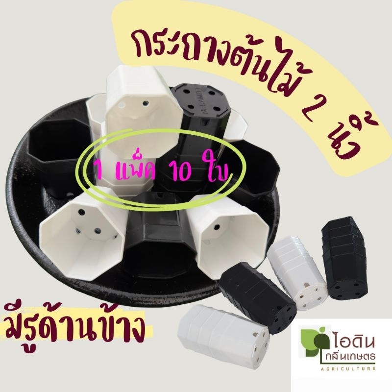 กระถางต้นไม้   กระถางแคคตัส  ขนาด 2 นิ้ว ทรงแปดเหลี่ยม  ( 1 แพ็ค มี 10 ใบ )