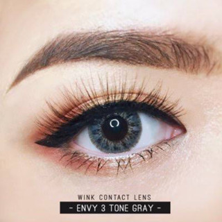 envy gray bywink รุ่นเทาใส่สวย แต่งหน้าขึ้น