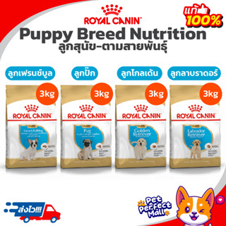 Royal Canin Breed French Bulldog Bulldog Golden Labrador Puppy 3kg โรยัลคานิน ลูกสุนัข เฟรนช์ บุลด็อก โกลเด้น ลาบราดอร์