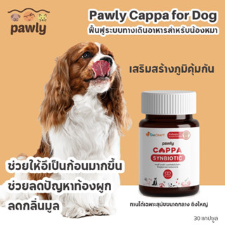 Pawly Cappa Synbiotic  แดง ผลิตภัณฑ์รักษาสมดุลในระบบทางเดินอาหารของสุนัขและแมว 30 แคปซูล สำหรับสุนัขขนาดกลางถึงใหญ่