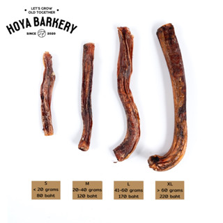 Hoya Barkery Bully Stick M Dog Treat