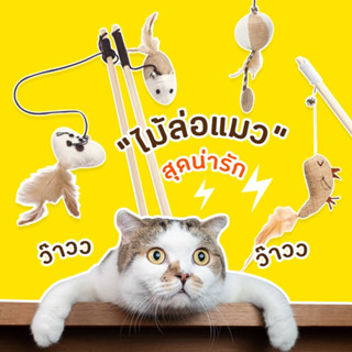 🐱[พร้อมส่ง ราคาถูก]🐱 ไม้ล่อแมว ไม้ตกแมว ไม้แหย่แมว ของเล่นแมว