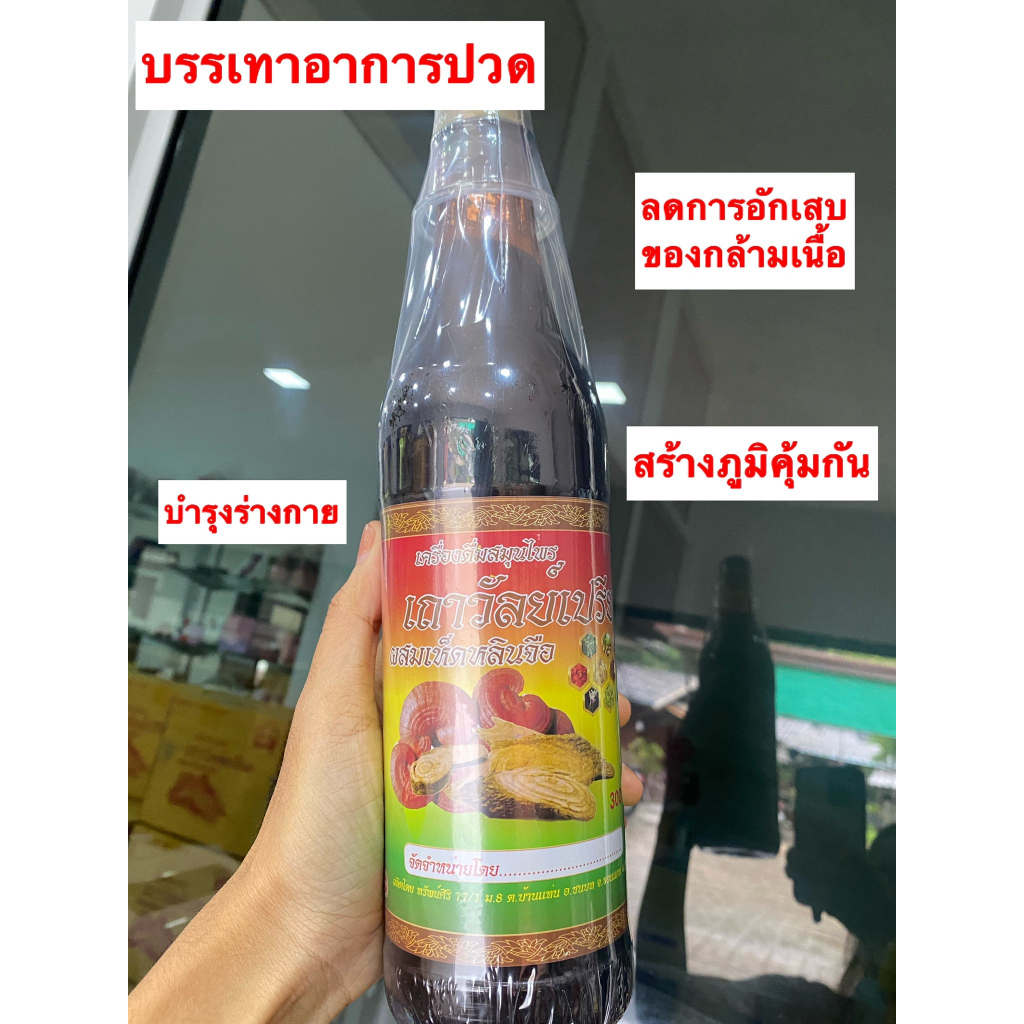 เครื่องดืมสมุนไพร ตราช้างทอง สมุนไพรเถาว์วัลย์เปรียง ปวดหลัง ข้อเข่าเสื่อม ช่วยลดอาการปวดข้อ ปวดเข่า
