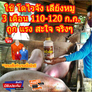 โค้ดส่งฟรี✨ โตไวจัง อาหารเสริมสัตว์ ร่งโต ไก่ เป็ด หมู  สัตว์บกทุกชนิด