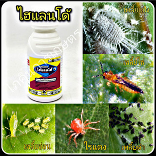 สารป้องกันกำจัดแมลงไฮแลนโด้ (ไทอะโคลพริด thiacloprid) ขนาด 100cc