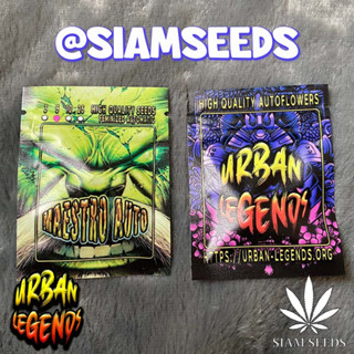 เมล็ดกัญชา Urban Legends Maestro Auto Cannabis Seeds (Pack of 5)