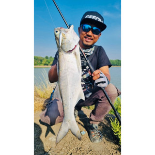 เหยื่อจิ๊ก MicroJig Down Under ค่าย Mahseer มีหลายขนาด