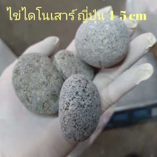 หินดำเงาบาหลี คัดพิเศษ หินโรยหน้ากระถาง หินตู้ปลา หินแคคตัส หินแม่น้ำ