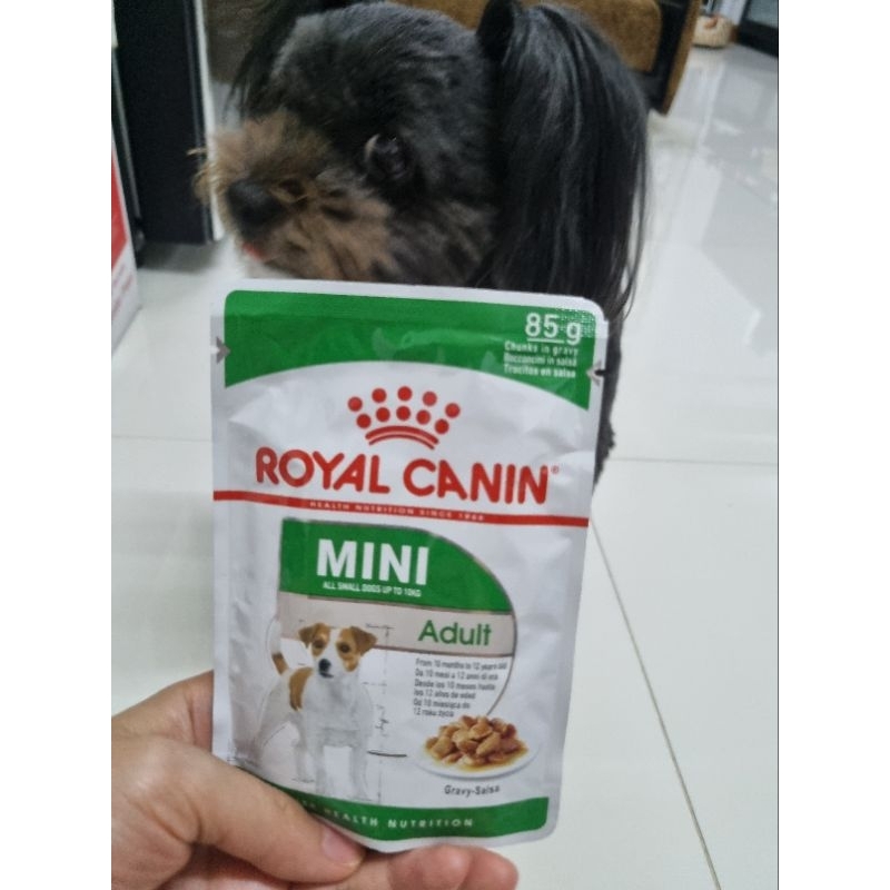 อาหารเปียกสุนัข RoyalCanin mini indoor