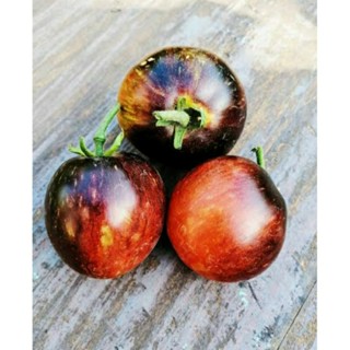 เมล็ดพันธุ์มะเขือเทศ ดาร์ค ไทเกอร์ (Dark Tiger Tomato Seed) บรรจุ 15 เมล็ด ของแท้ คุณภาพดี ราคาถูก นำเข้าจากต่างประเทศ