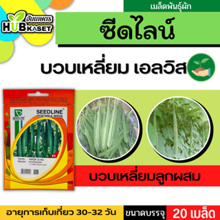 ซีดไลน์ 🇹🇭 บวบเหลี่ยมลูกผสม เอลวิส ขนาดบรรจุประมาณ 20 เมล็ด อายุเก็บเกี่ยว 35-40 วัน