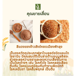 🌾ข้าวสังข์หยด (ขนาด 1 กิโล) 🔥ข้าวใหม่ สีข้าวทุกวันตามคำสั่งซื้อ 🔥ปลอดสาร จากเกษตรกรบ้านนาหน้าวัง พัทลุง