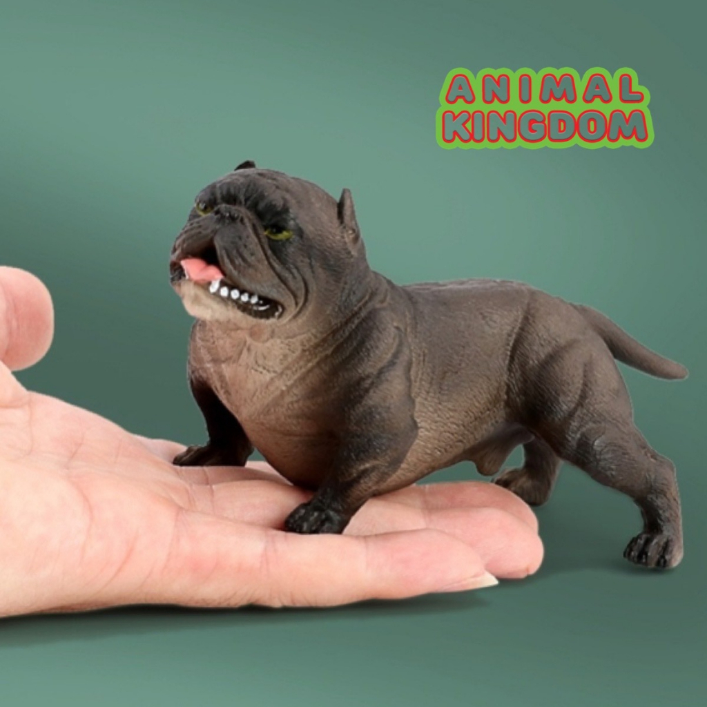 Animal Kingdom - โมเดลสัตว์ สุนัข หมา พิทบูล ดำเทา ขนาด 13.60 CM (จากสงขลา)