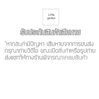 กระถาง 10 นิ้ว 10 ใบ