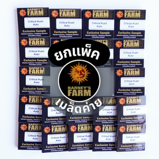 ยกแพ็ค Barneys Farm (Critical Kush Auto) 1 เมล็ด เมล็ดค่าย Imported Seeds เมล็ดนำเข้า 100% Feminized สายพันธุ์นอกแท้