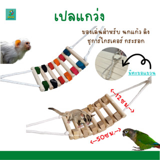 ของเล่น สำหรับ นกแก้ว ชูการ์ไกรเดอร์ กระรอก