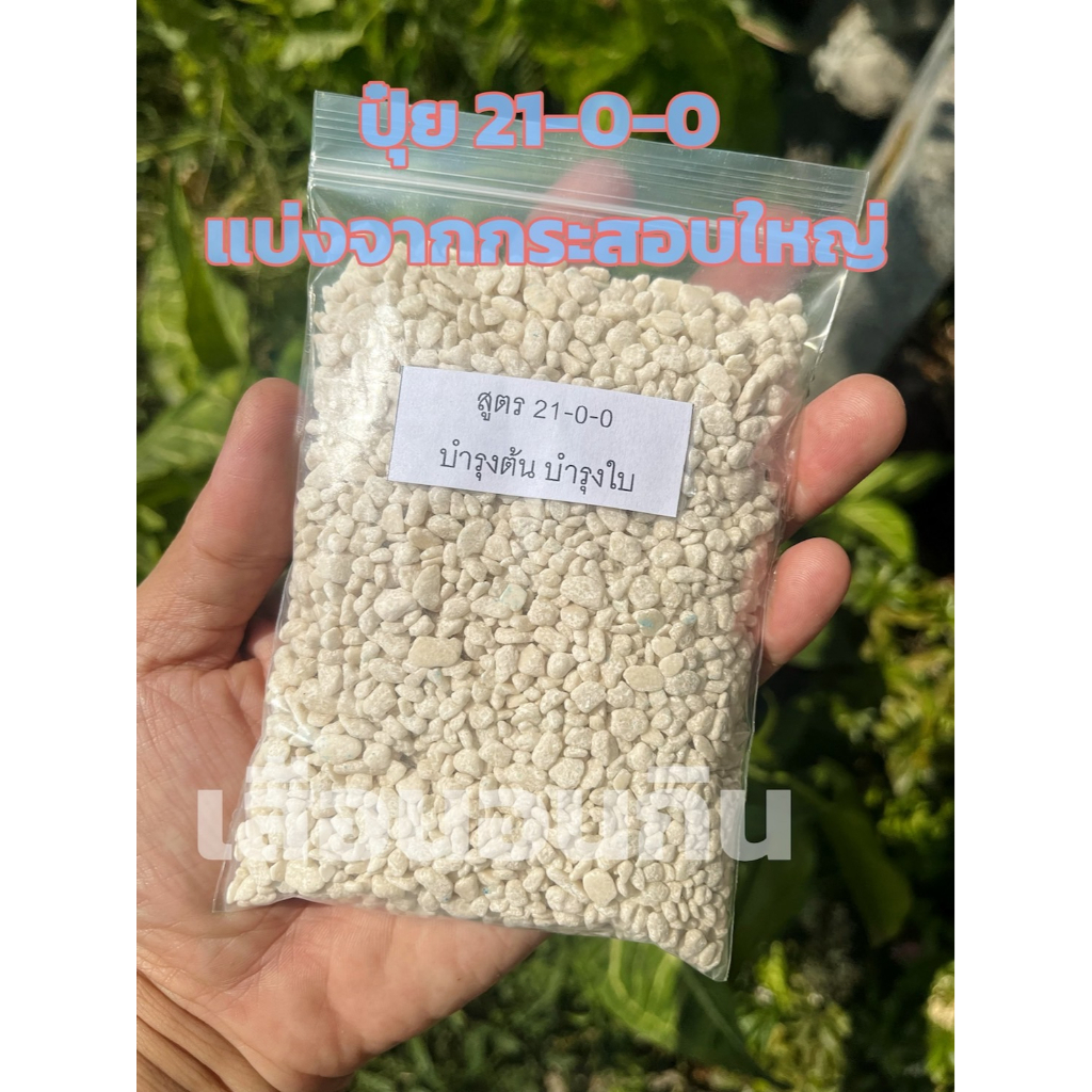 ปุ๋ยสูตร 21-0-0 เม็ดใหญ่ เร่งต้น เร่งใบ ต้นใหญ่ ใบดก ใบใหญ่ ใบเขียว รากเดินดี (200กรัม / 1กก.)