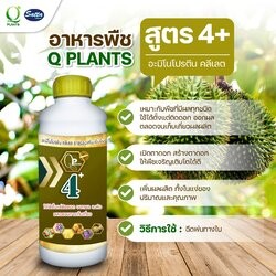 คิวแพลน  Q plants (Qyou)  หัวอาหารพืช สูตรเข้มข้นจบครบทุกอย่างที่พืชต้องการ ปุ๋ยทางใบ ปุ๋ยหมัก ปุ๋ยชีวภาพ